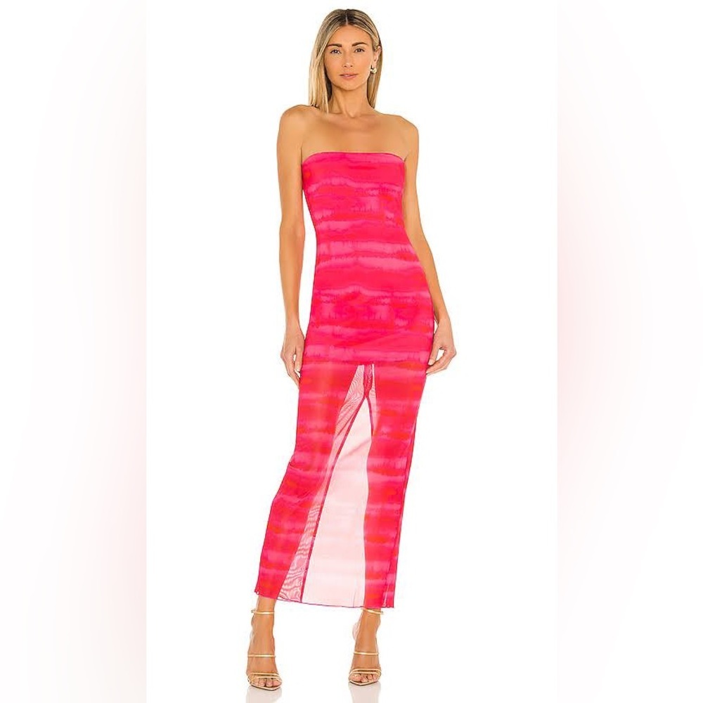 NWOT Tiger Mist Mesh Maxi Dress